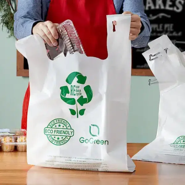 Customized Plastic Shopping Bags - Image 5