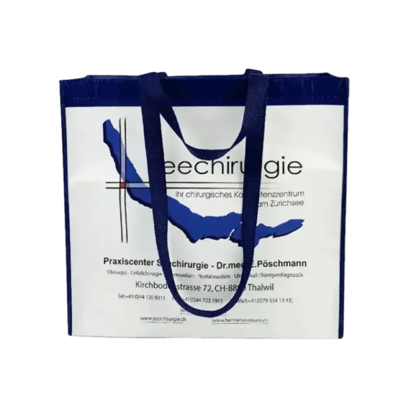 Recycled Plastic Bag - Image 1