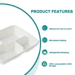 Biodegradable Sugarcane Compartment Trays Wholesale