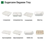 Biodegradable Sugarcane Compartment Trays Wholesale