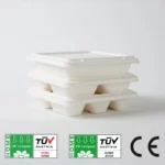 Biodegradable Sugarcane Compartment Trays Wholesale