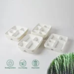 Biodegradable Sugarcane Compartment Trays Wholesale