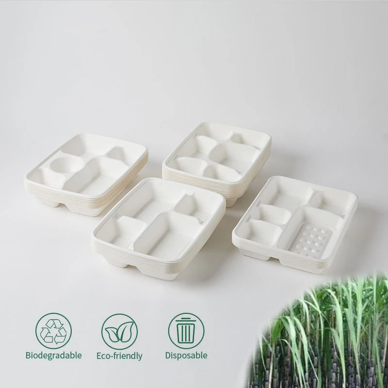 Biodegradable Sugarcane Compartment Trays Wholesale