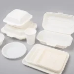 Custom Biodegradable Sugarcane Bagasse Tableware - Image 3