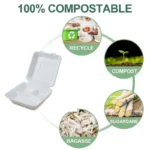 Custom Branded Eco-Friendly Sugarcane Clamshell Containers